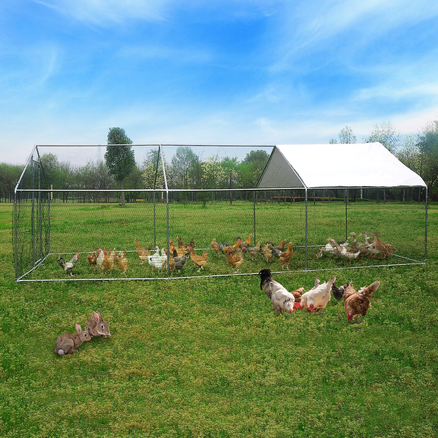Walsport Large Chicken Coop Pets Cage Pens Creat Fence 20x10 ft Metal