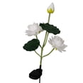 thumbnail image 1 of Led Outdoor Simulation Garden Light,Color Changing Solar Lights, 1 of 4