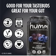 thumbnail image 5 of Humm Kombucha Zero Sugar Drink, Blueberry Acai, 16 Pack, 12 oz Cans, 5 of 7