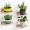1set Log color G4567, variant on 4Pack Small Floating Shelves for Wall, Wood Shelf 5 Inch Display Ledges Room Decor, Mini with 2 Types of Installation