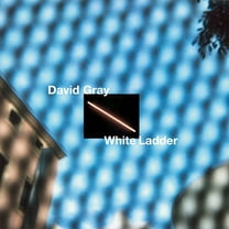 David Gray - White Ladder - Music & Performance - Vinyl