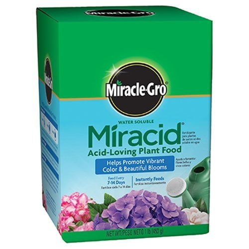 Scotts Company MiracleGro 1750011 Water Soluble Miracid AcidLoving