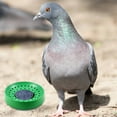 thumbnail image 4 of Bird Nesting Bowl Small Bowl Green Plastic, 4 of 5