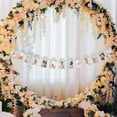 thumbnail image 5 of Torubia First Birthday Photo Banner and Baby Keepsake Decor, 5 of 6
