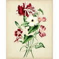 thumbnail image 2 of Vision Studio 20x24 Gold Ornate Wood Framed with Double Matting Museum Art Print Titled - Natures Romance VI, 2 of 4