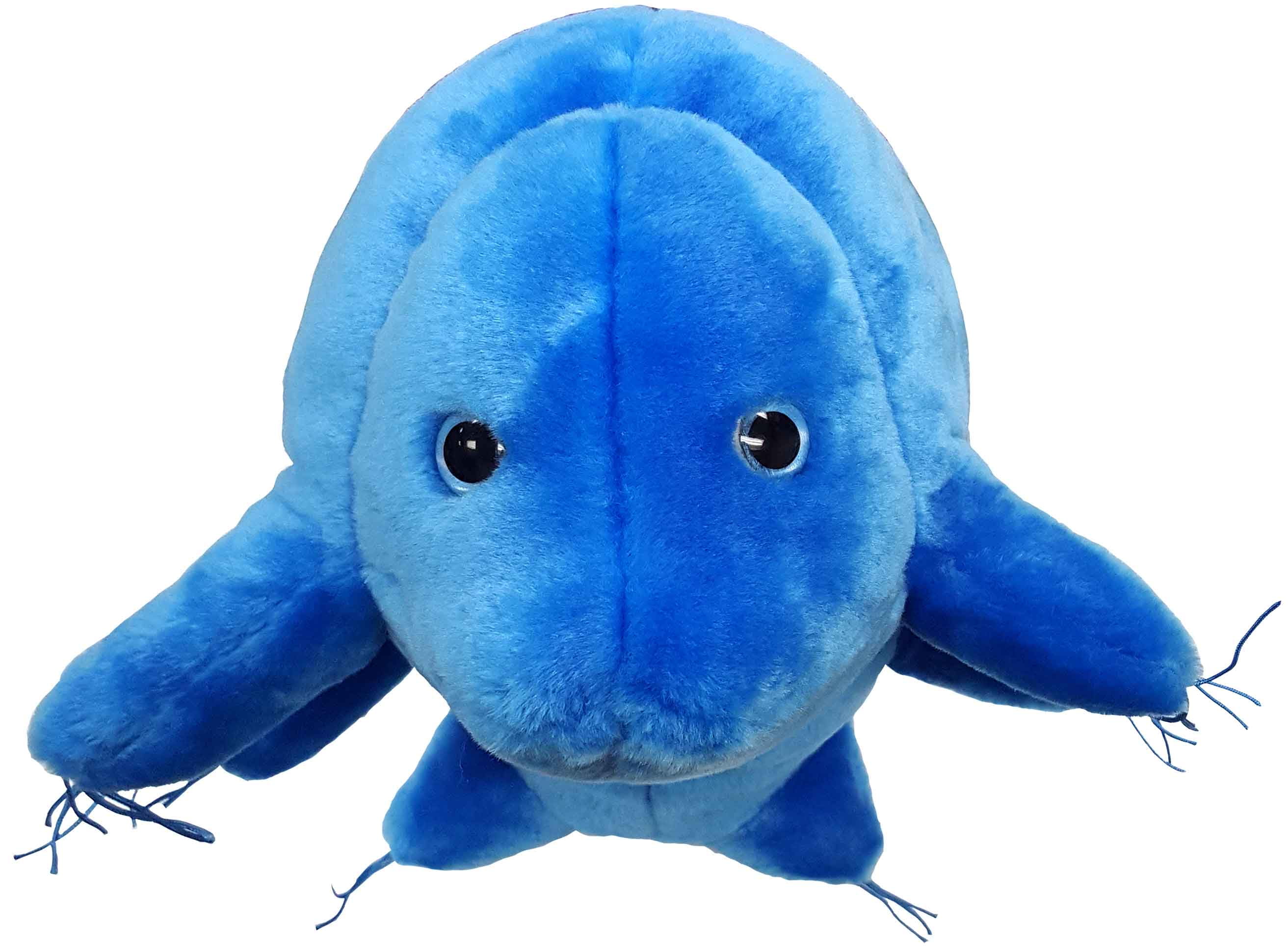 tardigrade stuffed toy