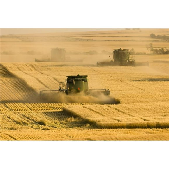 Posterazzi DPI12254867LARGE Paplow Harvesting Company Custom Combines A Wheat Field Near Ray - North Dakota United States of America Poster Print - 38 x 24 in. - Large
