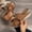 Brown, variant on Women's Hollow Out Metal Buckle Wedge Sandals, Thick Sole Open Toe Comfort Casual Roman Style Summer Beach Slides Army Green 39