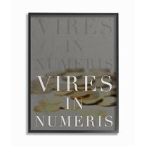 Stupell Industries Bitcoin Vires in Numeric Typography Painting Black Framed Art Print Wall Art, 16 x 20