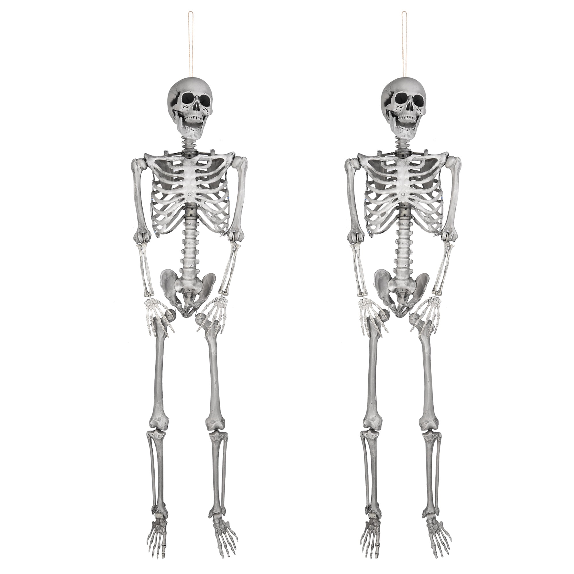 Halloween Skeleton Prop 2022