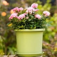 thumbnail image 3 of Maoww Plastic Roots Control Pot Garden Nursery Breathable Planter Drainage Holes 175mm/white 1.5L 1Set, 3 of 6