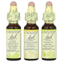 Bach Original Flower Remedies, Focus Kit, Clarity of Mind, 3 Droppers, 0.35 fl oz (10 ml) Each