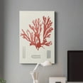 thumbnail image 5 of Vintage Coral Study IV Premium Gallery Wrapped Canvas - Ready to Hang, 5 of 7