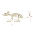 thumbnail image 6 of Faux Skeleton Rat Decoration, 7", Halloween by Way To Celebrate, 6 of 6
