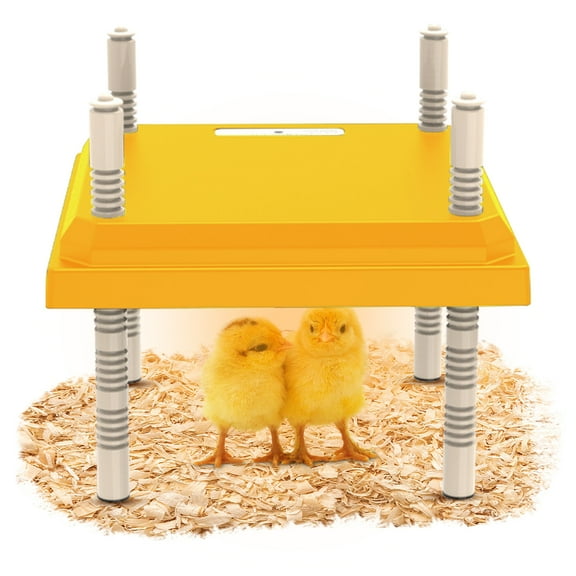 Brooder Heater for Chicks, Chick Brooder Heating Plate with Adjustable Height and Angle, Chicken Brooder Plate for up to 15 Chicks, 25 Height Options(Yellow, 10" x 10")