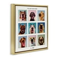 thumbnail image 3 of Stupell Industries Follow Your Nose Dogs Gold Framed Floater Canvas Wall Art design by Lucia Heffernan, 25 x 25, 3 of 9