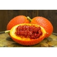 thumbnail image 3 of 2 Seeds GAC FRUIT Gac Melon Vine Momordica Cochinchinensis Seeds, 3 of 11