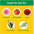 thumbnail image 2 of Miracle-Gro 1001193 Indoor & Outdoor Water Soluble All-Purpose Plant Food 10 lb., 2 of 5