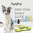 thumbnail image 5 of Regal Dog Products Reflective Standard Collar and 5ft Leash Set, 5 of 8