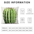 thumbnail image 5 of COMIO Hopyeer Rustic Mexican Desert Cactus Plant Throw Pillow Covers Green Pot&nbsp;Bonsai Realistic Pillow Case Square Home Sofa Couch Chair Pillow Cushion Case Cover, 5 of 5