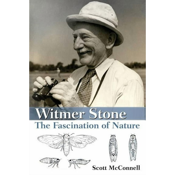 Witmer Stone: The Fascination of Nature, (Paperback)