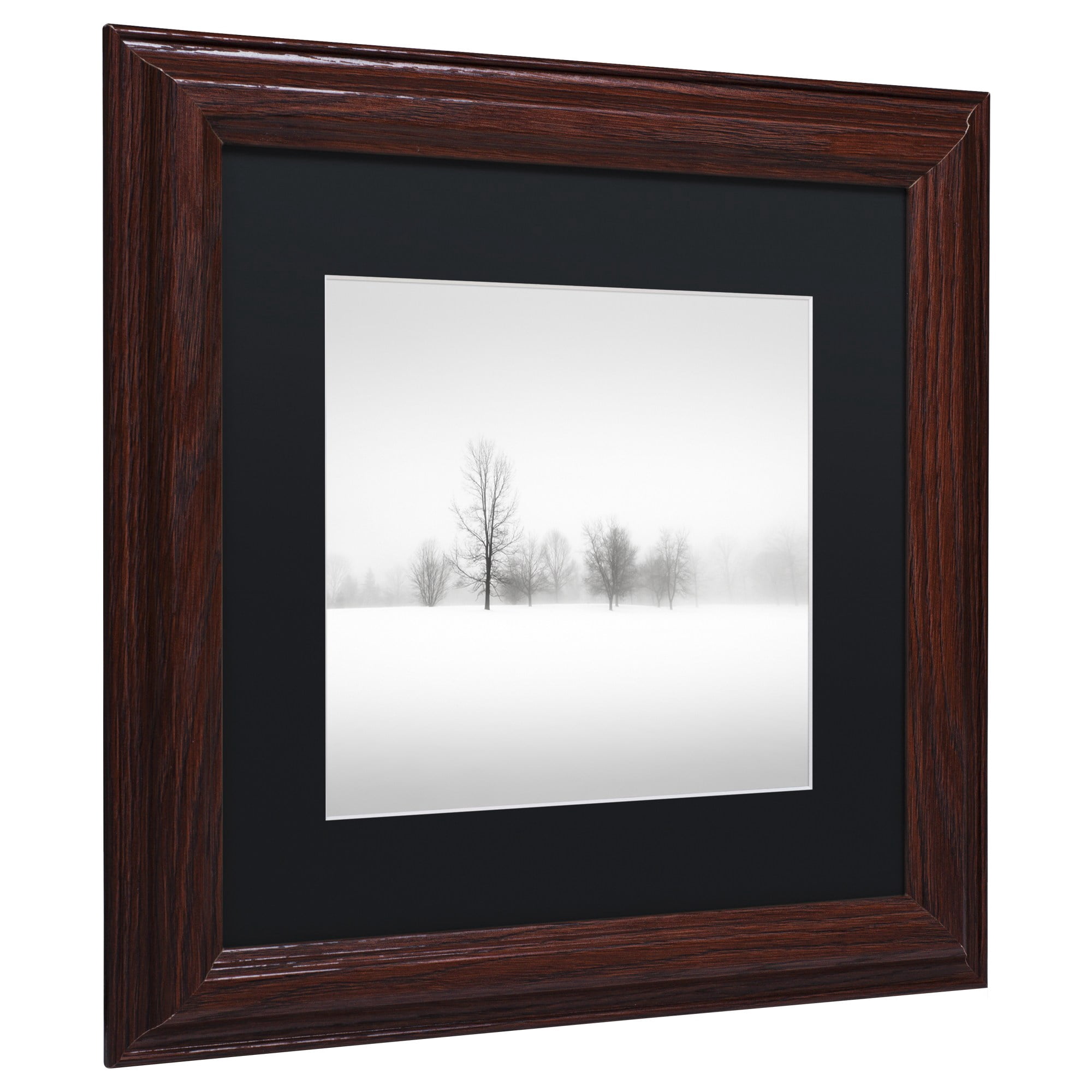 Trademark Fine Art "Winter Fog" Canvas Art by Dave MacVicar, Black Matte, Wood Frame