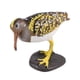 thumbnail image 4 of Figura de pájaro, juguetes educativos de aprendizaje, modelo de pájaro, decoración, mano de obra fina Estilo A, 4 of 9