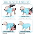 thumbnail image 5 of ZDM Small Dog Pullover Sweater, Cold Weather Cable Knitwear, Classic Turtleneck Thick Warm Clothes for Chihuahua, Bulldog, Dachshund, Pug (Peacock Blue, Small), 5 of 7