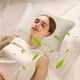 thumbnail image 4 of Juego de fundas de almohada acolchadas de doble cara de terciopelo blanco, modelo Taffy Pillowcases, terciopelo de leche, terciopelo de tafetán de mariposa, 4 of 6