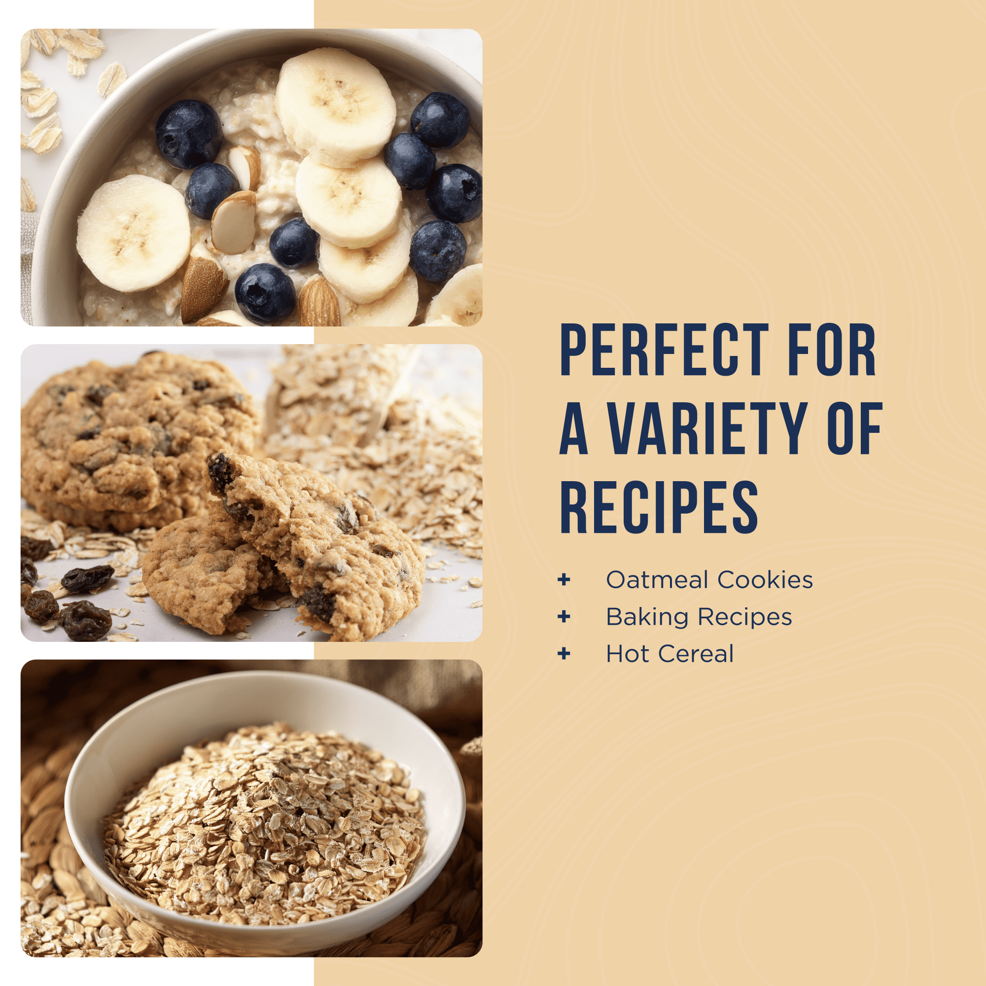 Quick Oats Emergency Food Supply, 113 Servings, 30 Year Shelf Life, 4 Grams of Fiber per Serving - Dehydrated Meals, Survival Food Camping Essentials, 4 Gallon Bucket, Just Add Water