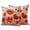 Bright Red Light Brown, variant on 2 Pack Outdoor Waterproof Throw Pillow Covers,Red Poppy Flower Watercolor Decorative Square Patio Pillowcases for Chair Couch Sofa 16x16in