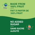 thumbnail image 3 of GoGo squeeZ Fruit Sauce Snack Pouches Variety, Apple Mango Guava, Apple Peach, Apple Blueberry, No Sugar Added Box of 20 Pouches, 3 of 7