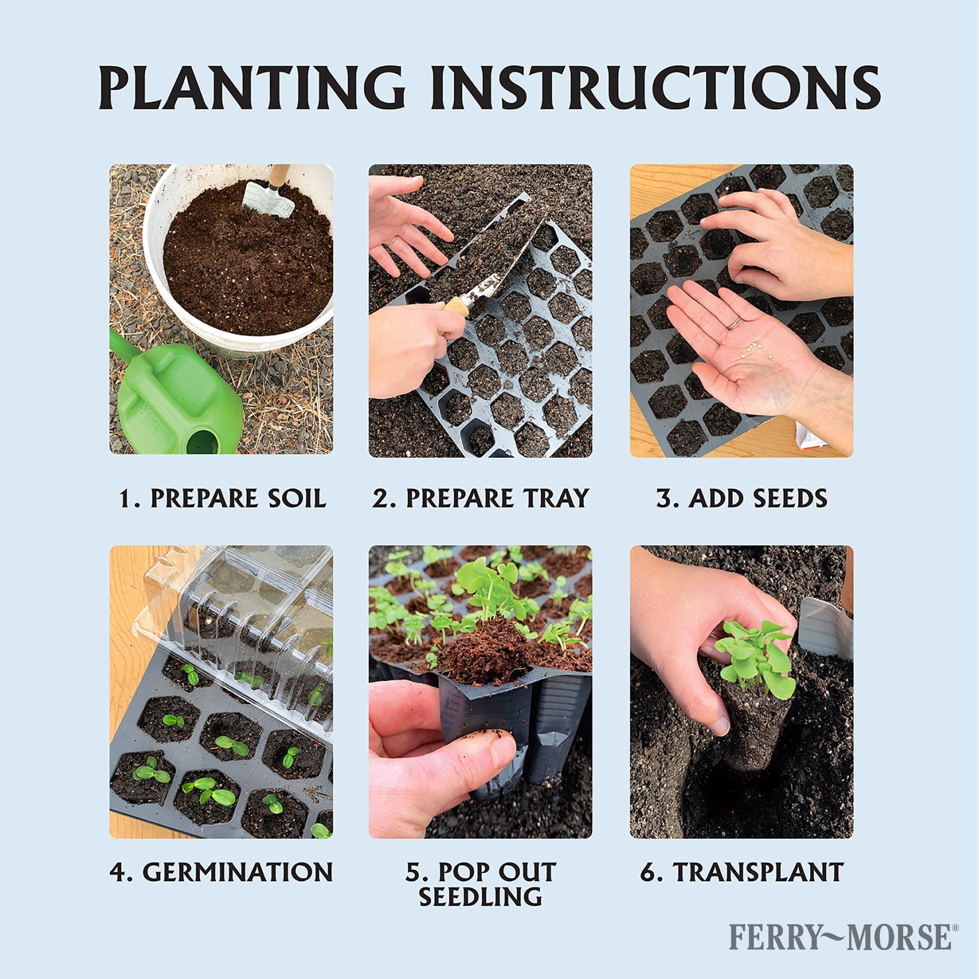 Ferry Morse Pro-Hex Seed Starting Tray 72 Cells - Reusable Plastic Tray