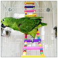 thumbnail image 2 of Electronicheart Wood Climbing Ladder Toy Cage Accessories for Pet Trainning, 2 of 6