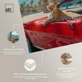 thumbnail image 4 of Art Remedy Modern Tiger Art Canvas, 20" x 30", Gallery Wrapped, Roaring Red Mustang II, 4 of 7