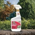 thumbnail image 3 of Bonide Captain Jack's 16 oz Insecticidal Soap, Ready-to-Use Spray Multi-Purpose Insect Control, 3 of 8