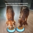 thumbnail image 6 of Iconic Pet 2-Pack Color Splash Stripe Non-Skid Pet Bowl, For Dog or Cat, Blue, 64 Oz, 8 Cup, 6 of 11