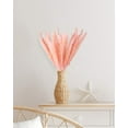 thumbnail image 7 of Coolmade 45-Piece, 17" Earth Cocoa Pink Boho Decor for Dried Pampas Grass, 7 of 7