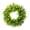 Green, variant on 20" St Patricks Day Front Door Wreaths,Artificial Spring and Summer Outdoor Wreath for Front Door,All Seasons Artificial Green Wreath for Farmhouse Wedding Porch Wall Indoor Decorations(Green)