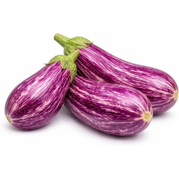 Exotic Listada de Gandia Eggplant Seeds (30  Seeds) | Stunning Purple & White Striped Spanish Heirloom | Non-GMO Vegetable for Home Gardening | Sweet, Tender Skin |