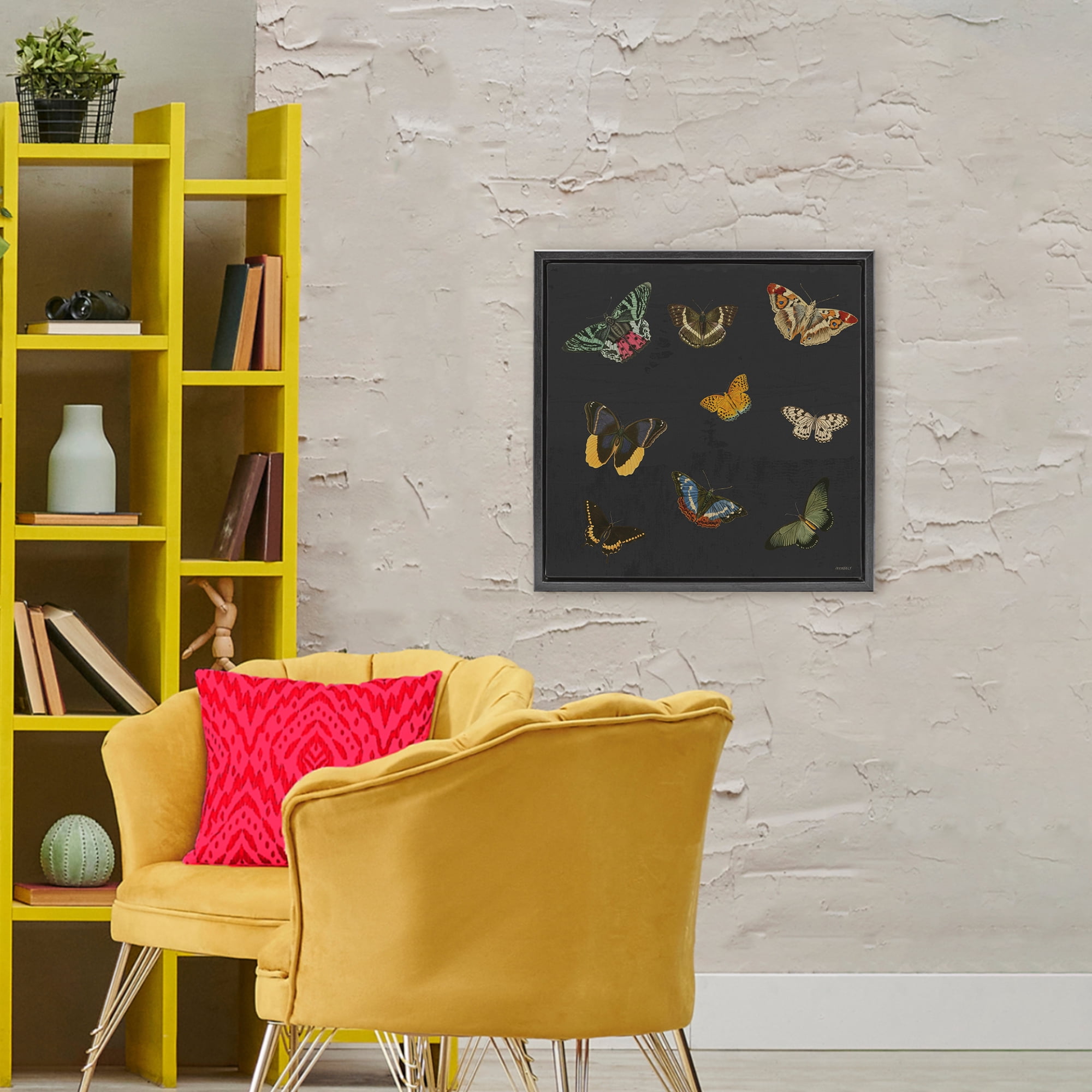 Stupell Industries Butterfly & Moth Collection Black Framed Floater Canvas Wall Art, design by Dan Meneely