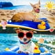 thumbnail image 5 of Paquete de 20 pañuelos para perros de vacaciones, pañuelos ajustables para perros, bufanda para mascotas, baberos suaves para perros pequeños, medianos y grandes, mascotas y gatos MFZFUKR CPB-US-ZMR08-1, 5 of 5
