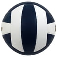 thumbnail image 4 of Baden Perfection Leather Volleyball, 4 of 4
