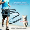 thumbnail image 2 of Labymos Laisse pour Animaux de Compagnie Extérieur Course Réfléchissante Double Rétractable Laisse pour Chien Chaîne Laisse Fournitures pour Animaux de Compagnie, 2 of 8