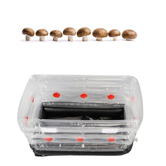 Inflatable Mushroom Grow Kit, Mushroom Grow Kit Durable Practical Square Small for Home