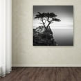 thumbnail image 4 of Trademark Fine Art Dave Macvicar The Lone Cypress Canvas Wall Art - 18x18, 4 of 4