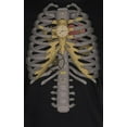 thumbnail image 4 of Old Glory Juniors Steampunk Mechanical Skeleton Costume Short Sleeve T Shirt, 4 of 6