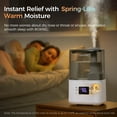 thumbnail image 2 of Humidificador Boxing Warm and Cool Mist de 4,5 L con mando a distancia, 2 of 8