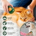 thumbnail image 5 of Cat Steam Brush for Indoor Cats, 3 In 1 Cat Brush for Shedding, Portable Pet Hair Removal Tool for Cat and Dog, Deshedding Cat Brush Grooming Supplies - Green, 5 of 7
