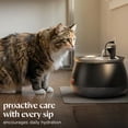 thumbnail image 5 of BISSELL HydrateWell Automatic Cat Water Fountain, 91 oz, Wireless Pump, SlimeShield Technology, 5-Layer Filtration, Ultra Quiet, 4408, 5 of 13